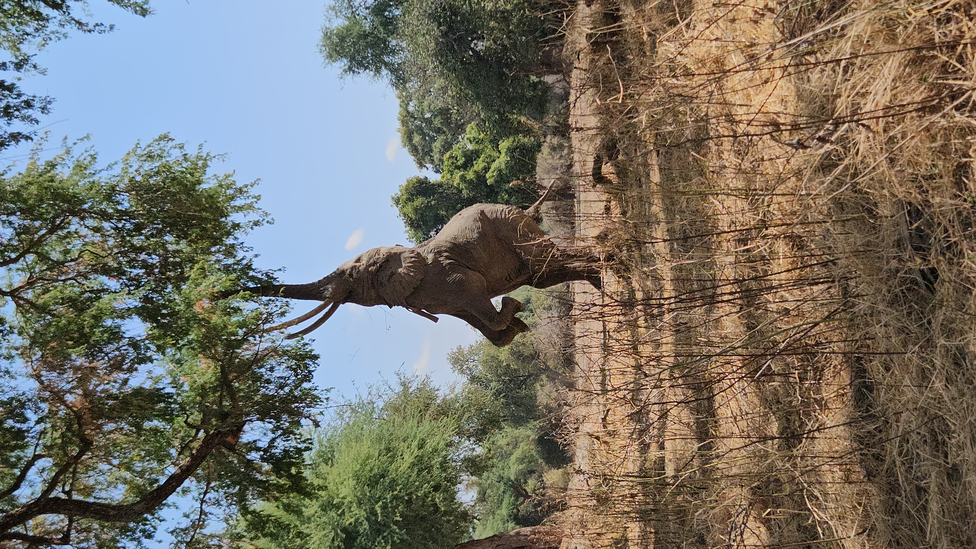 Adventure Activities