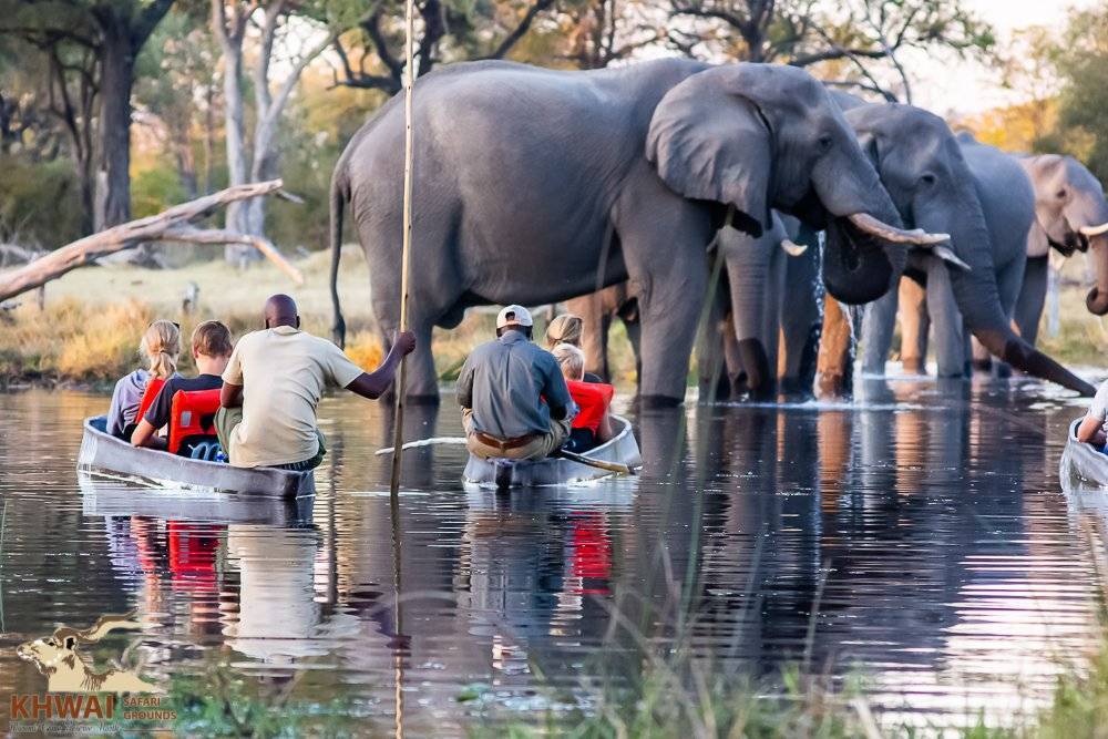 Mokoro Safari